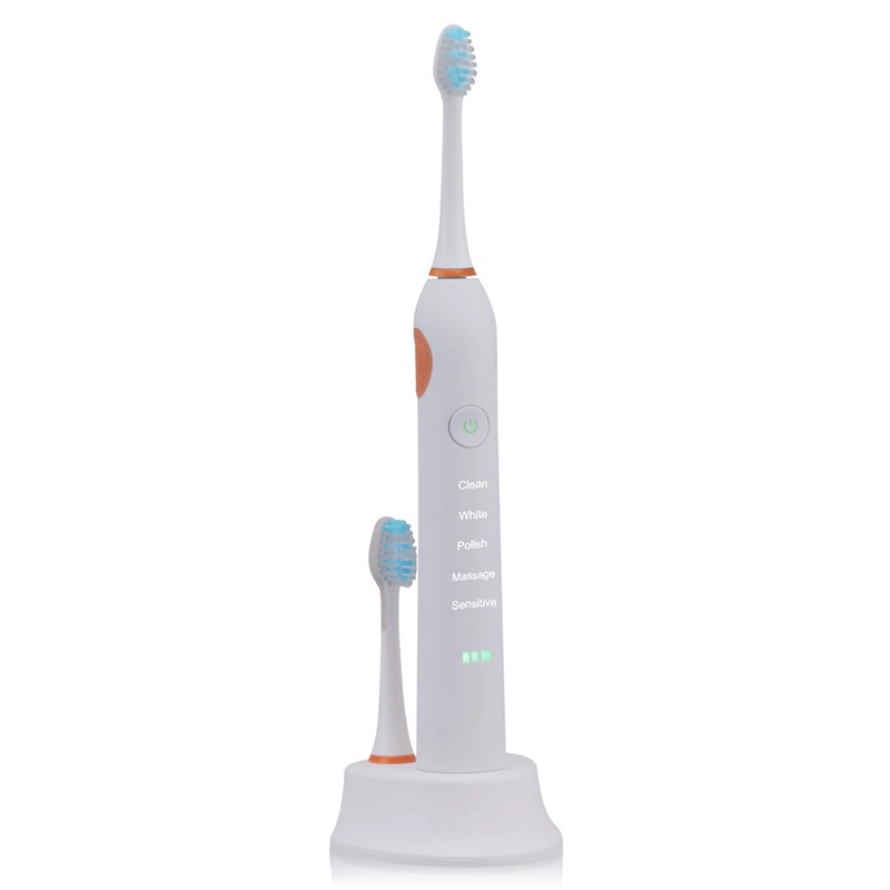 Custom & Wholesale 5 Modes Sonic Toothbrush RLT206