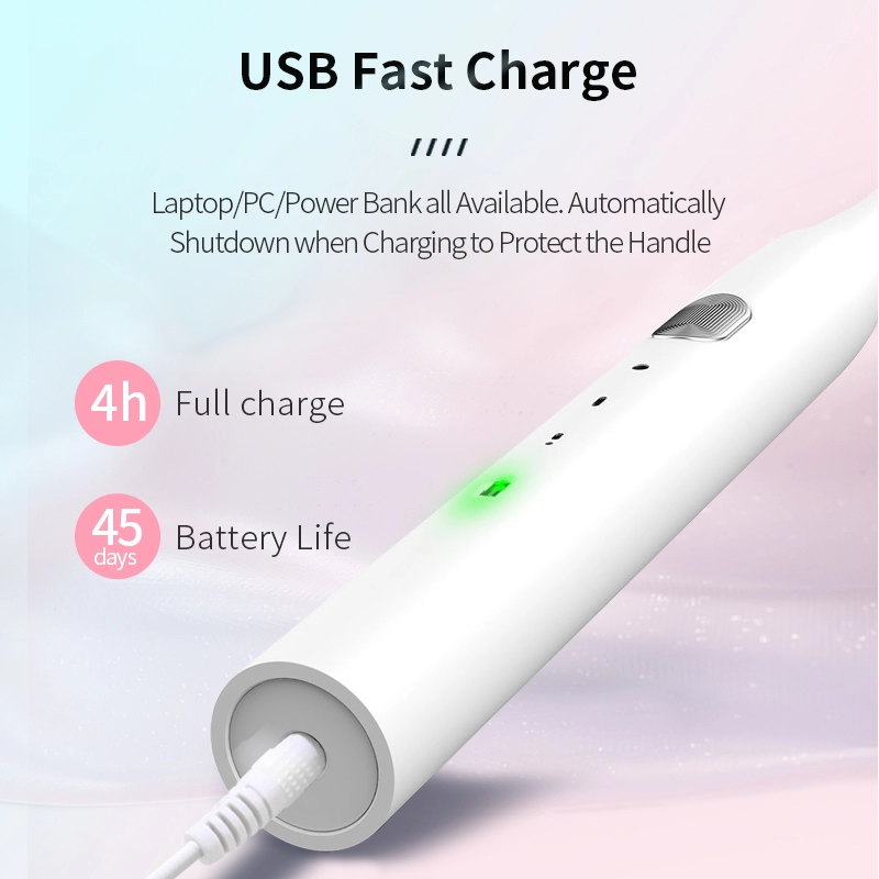 Cheap USB electric toothbrush RLT2001