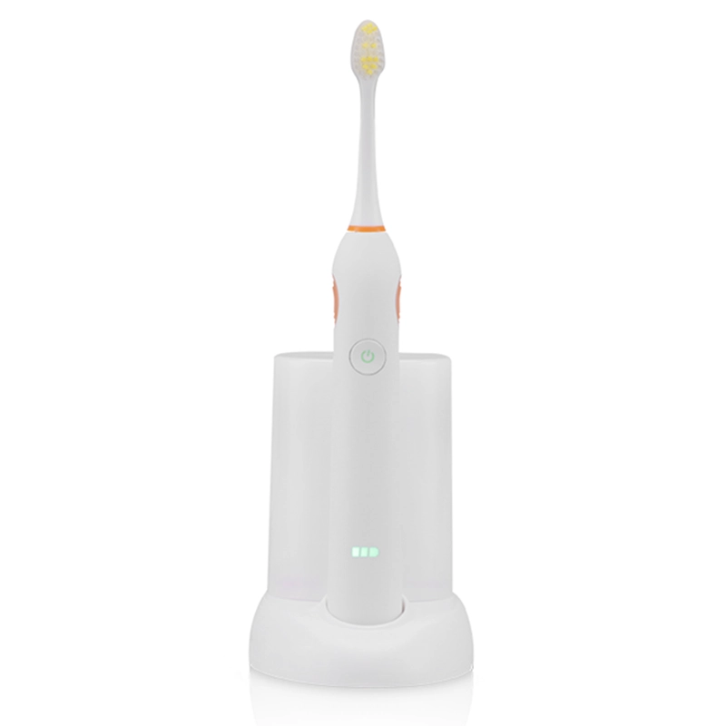 Wholesale Battery Operated Toothbrush RLT236