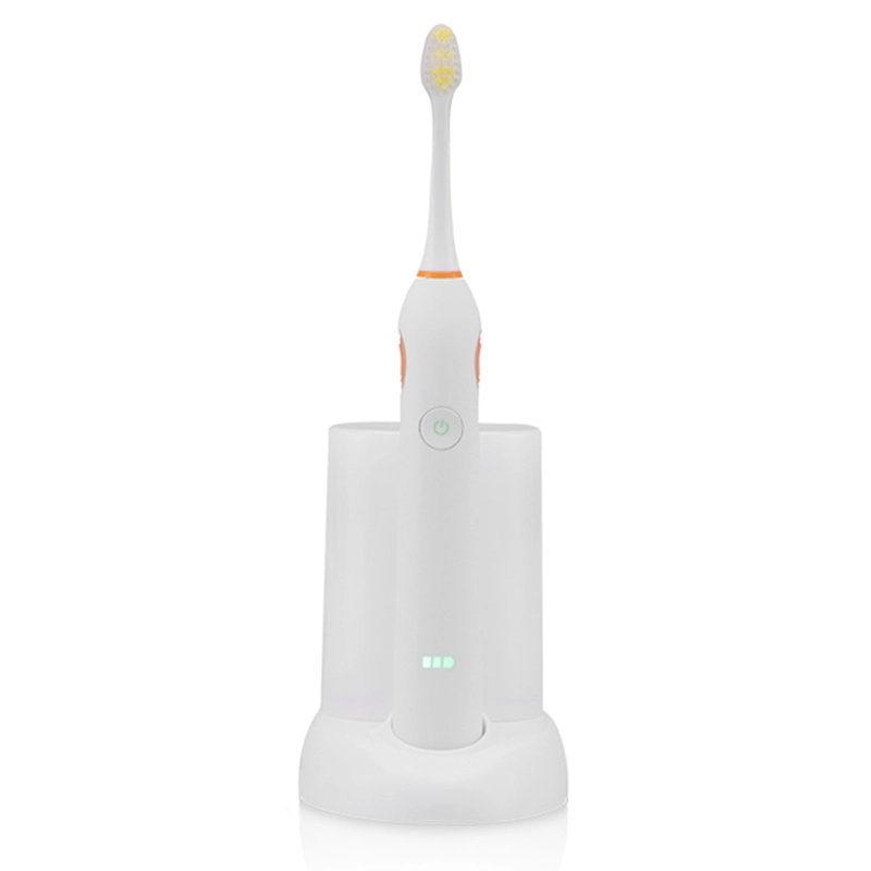 Custom Battery Operated Toothbrush RLT236