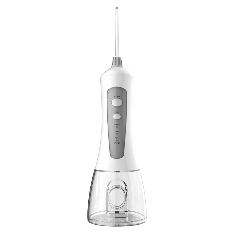 Large Capacity Water Flosser R02