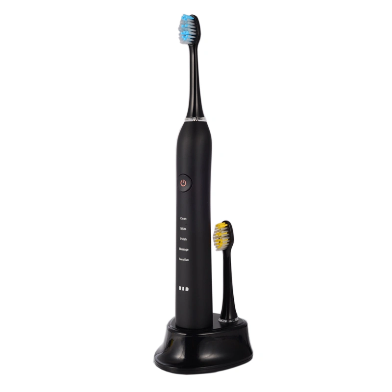 Private Label Electric Toothbrush RLT209