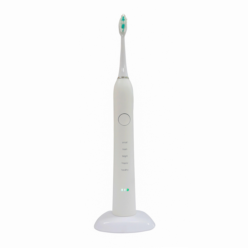 Private Label Electric Toothbrush RLT209