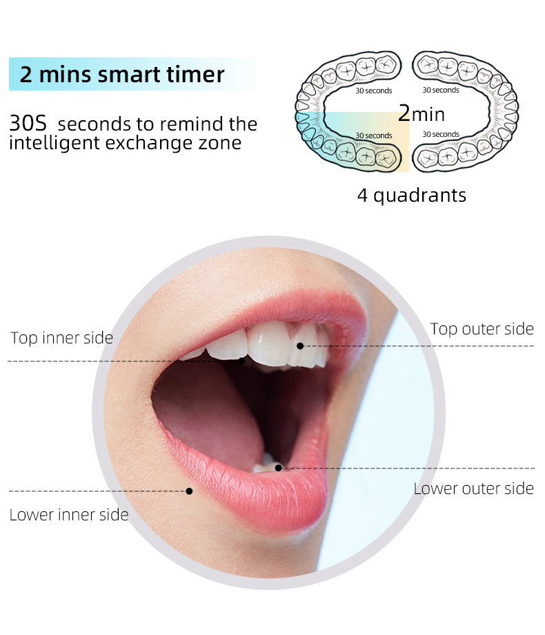 Sonic Toothbrush TS1006