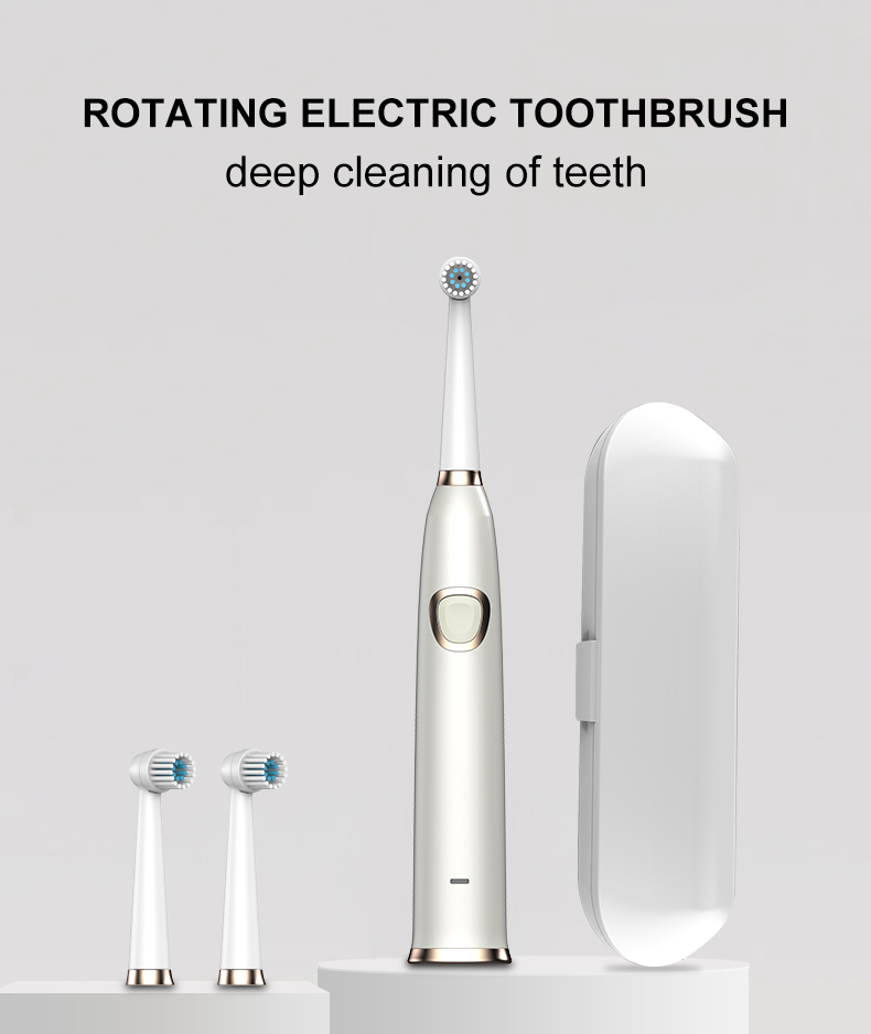 Rotary rotating electric toothbrushRLT3006 