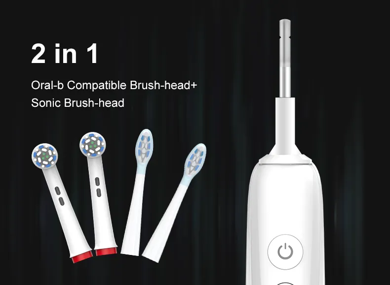 Custom Rotating Electric Toothbrush RLI312