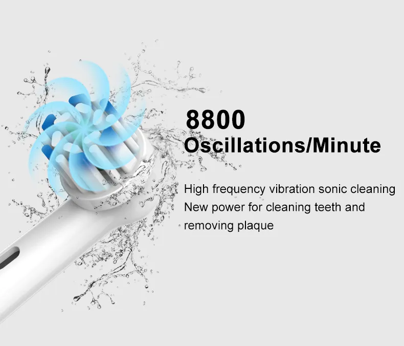 Custom Rotating Electric Toothbrush RLI312