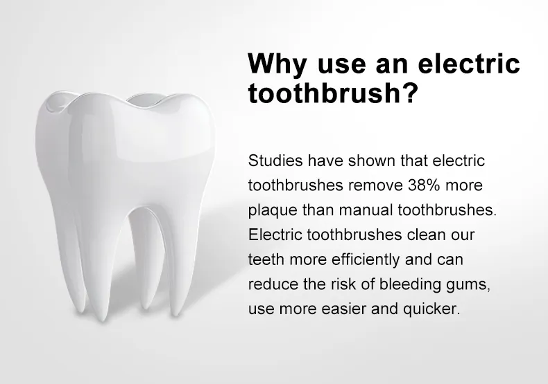 Custom Rotating Electric Toothbrush RLI312