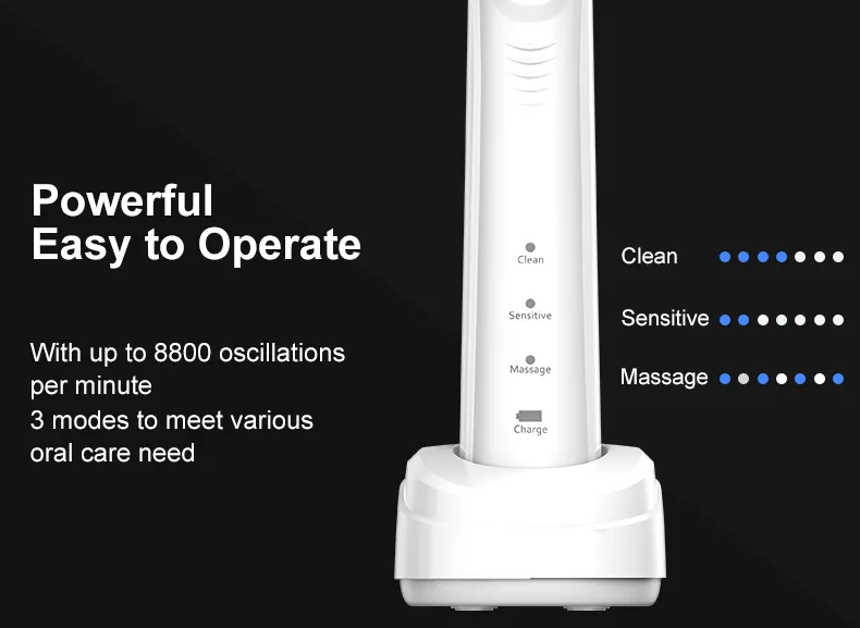 Custom Rotating Electric Toothbrush RLI312