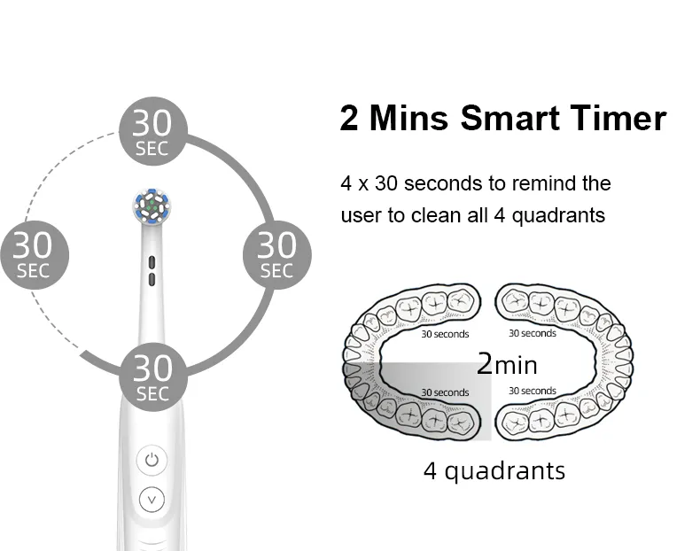 Custom Rotating Electric Toothbrush RLI312