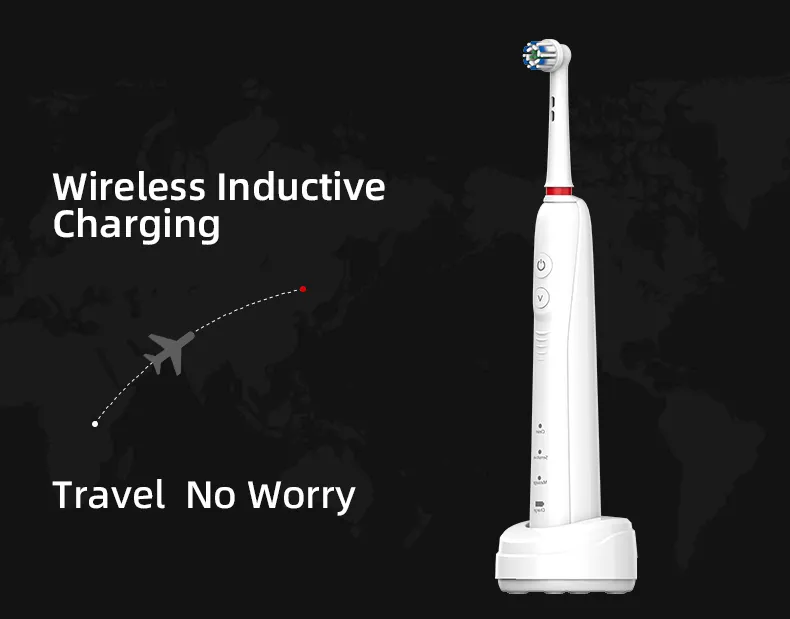 Custom Rotating Electric Toothbrush RLI312
