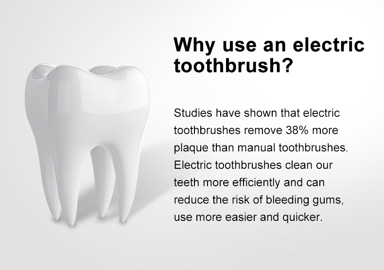Custom Rotating Electric Toothbrush RLI312