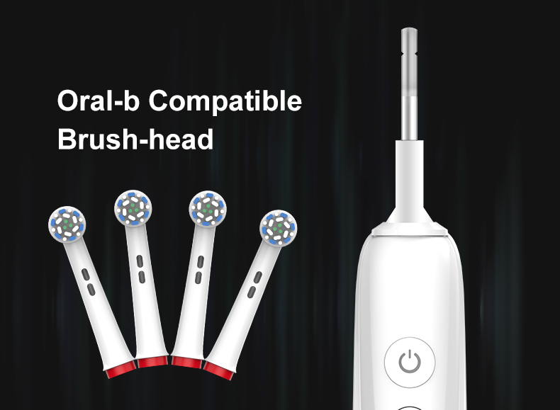 Custom Rotating Electric Toothbrush RLI312