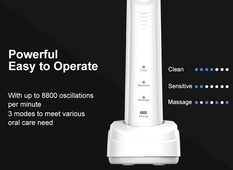 Custom Rotating Electric Toothbrush RLI312