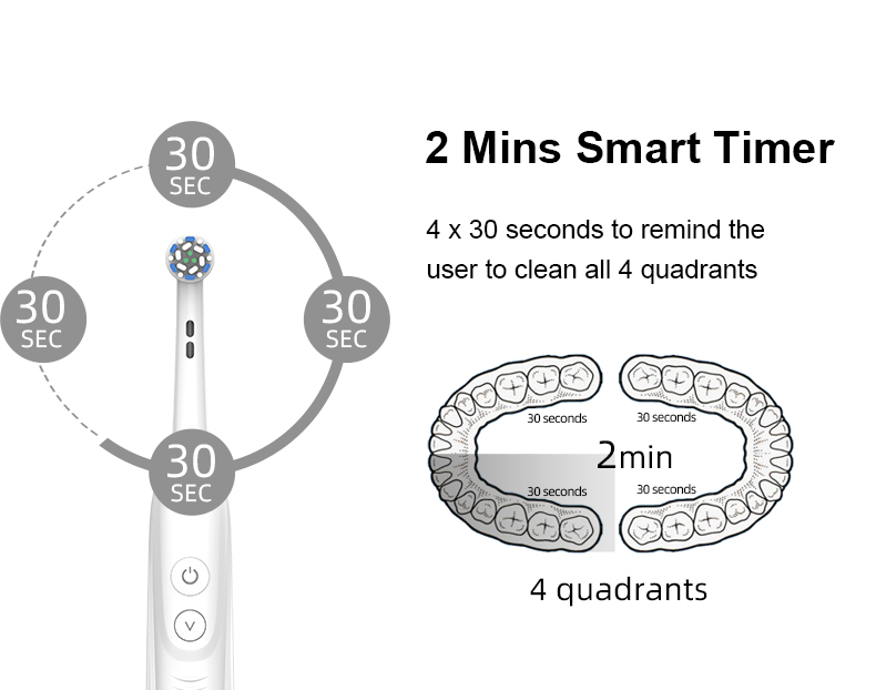 Custom Rotating Electric Toothbrush RLI312