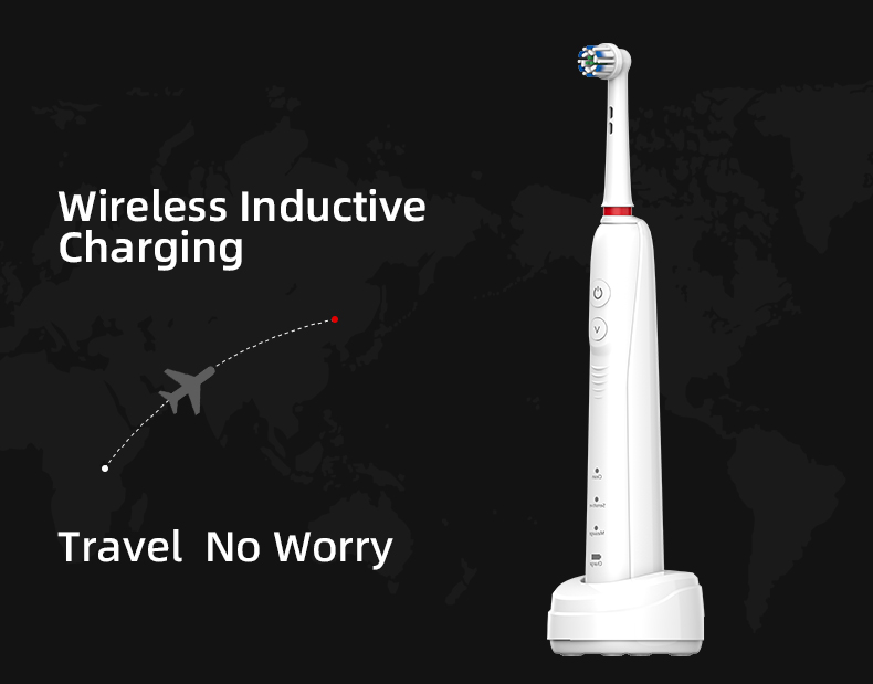 Custom Rotating Electric Toothbrush RLI312