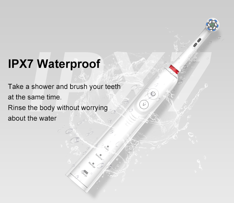 Custom Rotating Electric Toothbrush RLI312