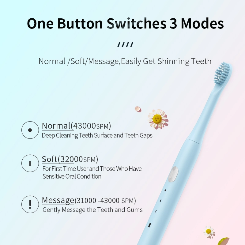 Cheap USB electric toothbrush RLT2001