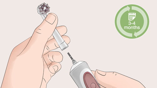 How to clean the electric toothbrush properly