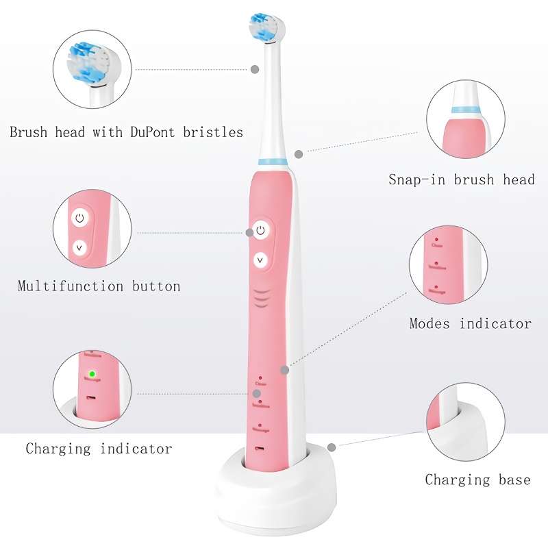 Custom Rotating Electric Toothbrush RLI312