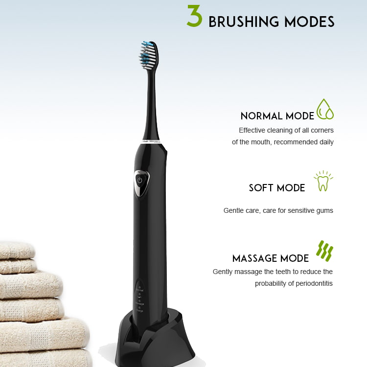 Electric Toothbrush OEM RLT221