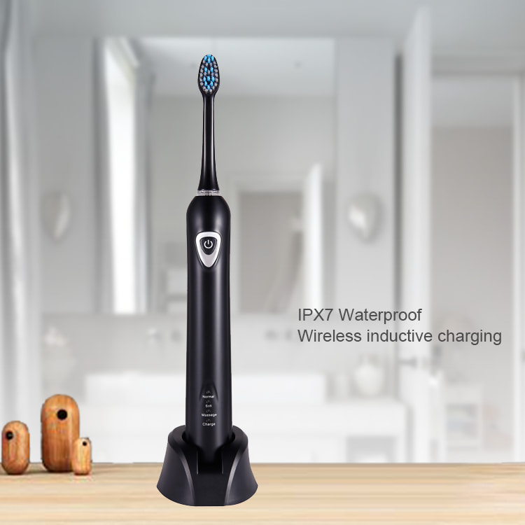 Electric Toothbrush OEM RLT221