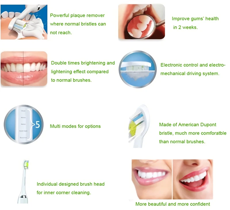 Electric Toothbrush OEM RLT221