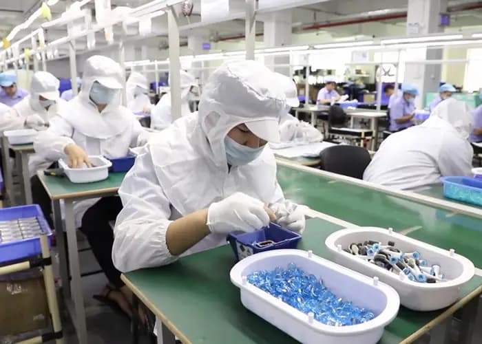 Toothbrush Factory for Private Label Relish